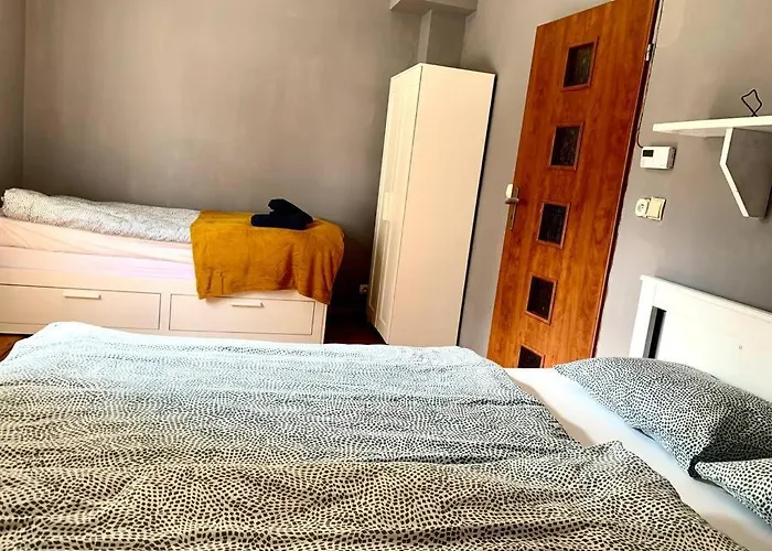 Apartment Krasinskiego 5 - Park